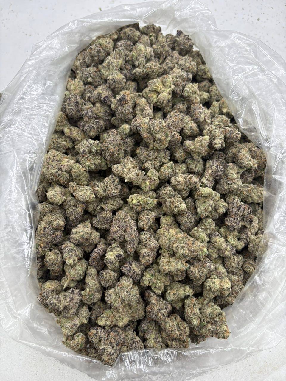 coco1